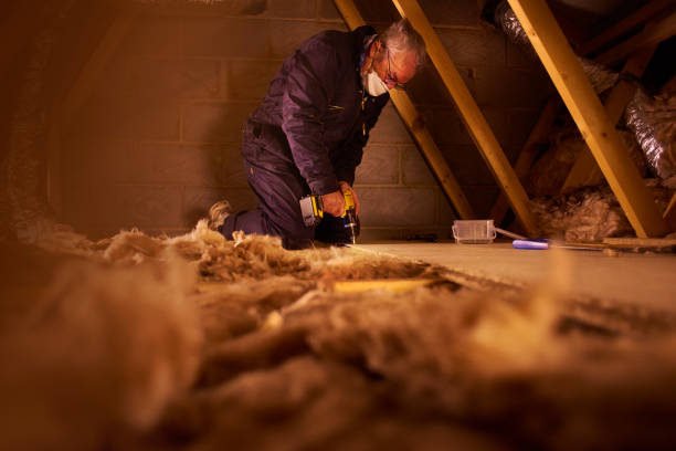 Best Insulation for New Construction  in Isanti, MN